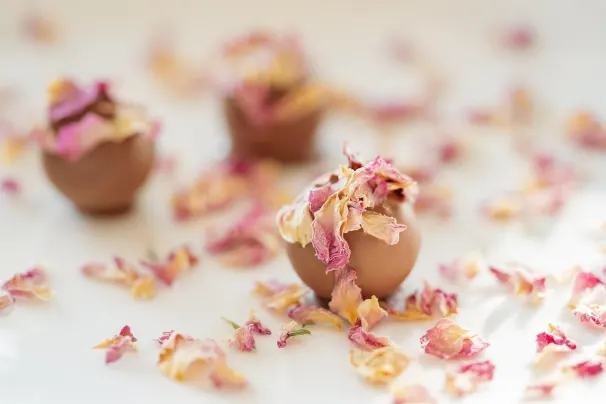 Kasino Sun Palace Android/iOS Sovellus